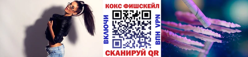 Купить закладки  Кызыл  Cocaine Fish Scale 