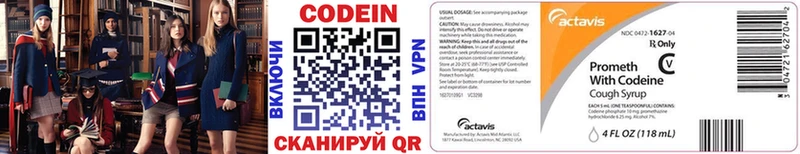 Купить закладки  Кызыл  Codein Purple Drank 