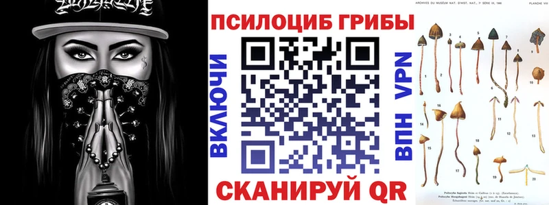 Купить закладки  Кызыл  Галлюциногенные грибы мухоморы 